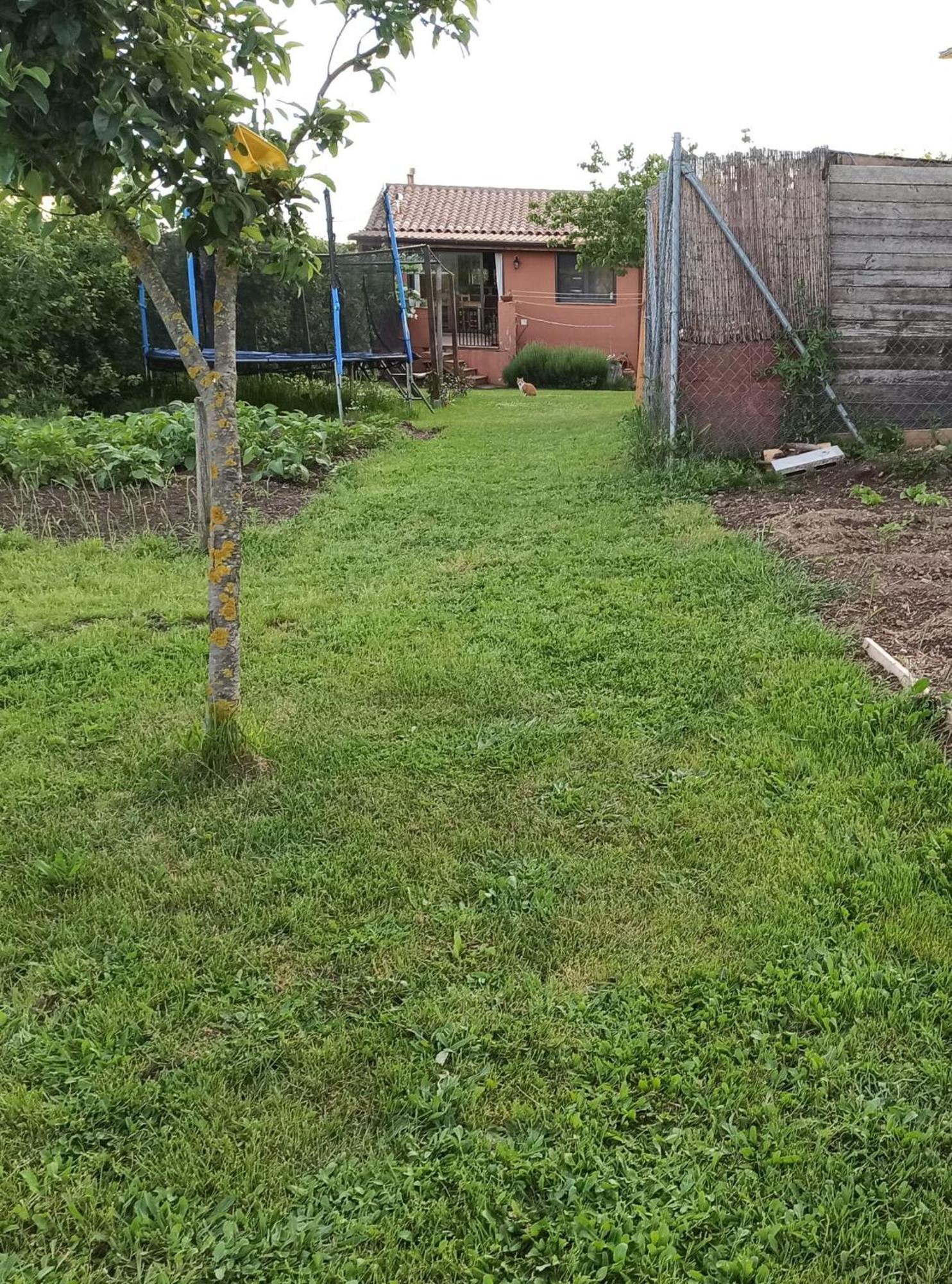 Alojamiento Compartido Cantroncxic San Pedro de Torelló Exterior foto